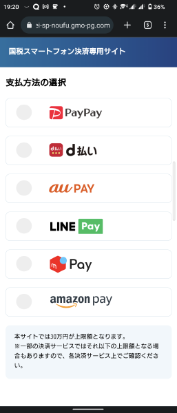 国税スマートフォン決済専用サイト