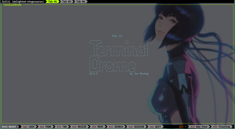 TerminalDrome